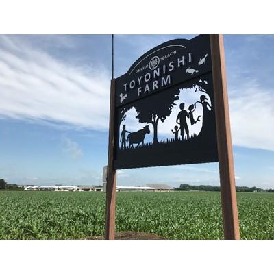 ふるさと納税 帯広市 豊西牛厚切ロースステーキ用 2枚セット(約800g) 　