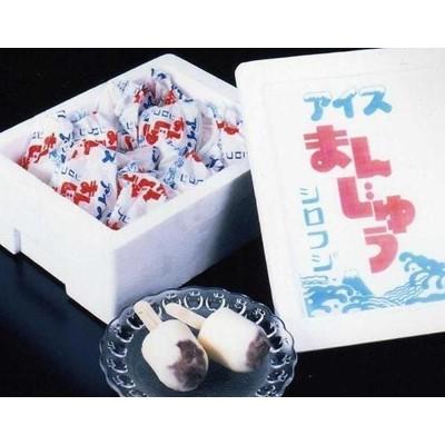 ふるさと納税 桐生市 アイスまんじゅう(90ml×9個)