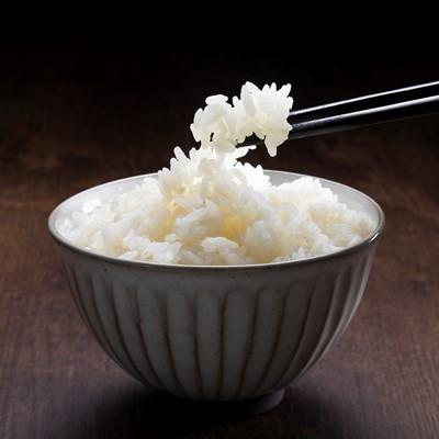 ふるさと納税 石川県 令和7年産　ひゃくまん穀　5kg×2袋　_22053_1