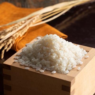 ふるさと納税 石川県 令和7年産　ひゃくまん穀　5kg×2袋　_22053_2