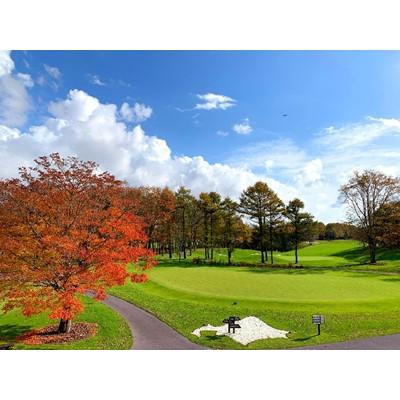 ［即日発送］ ふるさと納税 苫小牧市 北海道ブルックスカントリークラブ　利用券　15，000円分 【EIM6310768375】(23000円)