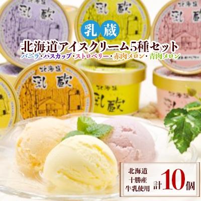 ふるさと納税 帯広市 乳蔵北海道アイスクリーム5種セット(計10個)(110130)