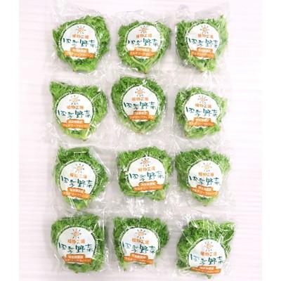 初売り 四季野菜 マルチリーフクイーン 80g 12袋 帯広市 ふるさと納税 その他野菜 帯広市 ふるさと納税 野菜 Affaires Sociales Gouv Cg