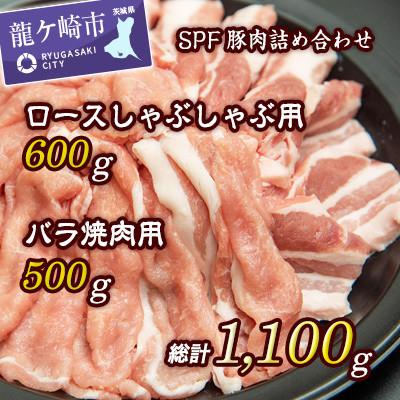 ふるさと納税 龍ケ崎市 常陽牧場SPF豚肉詰め合わせ
