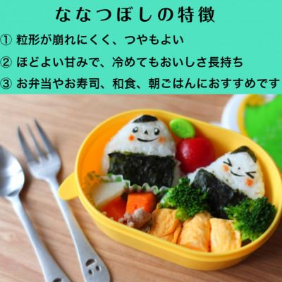 ふるさと納税 月形町 【先行受付・令和6年産】北海道月形町産ななつぼし「精米」20kg　特Aランク獲得13年連続獲得｜y-sf｜04