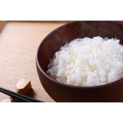 ふるさと納税 栗原市 【新米】令和4年産 宮城県栗原産つや姫 白米 一等米 5kg|y-sf|02