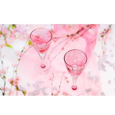 ふるさと納税 龍ケ崎市 カガミクリスタルのペアワイングラス〈桜柄 