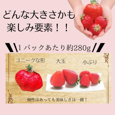 ふるさと納税 久留米市 うるう農園のあまおうM〜Gサイズ 4パック(1140g)|y-sf|02