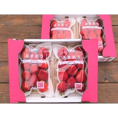ふるさと納税 久留米市 うるう農園のあまおうM〜Gサイズ 4パック(1140g)|y-sf|03