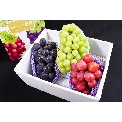 ふるさと納税 山形県 令和4年度先行受付 大粒種無しぶどう3種類 約1 8kg 株 さくらんぼファクトリー さとふる 通販 Yahoo ショッピング