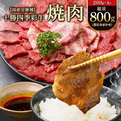 ふるさと納税 帯広市 十勝四季彩牛焼肉(部位おまかせ)総量800g(200g×4P)[国産交雑種]