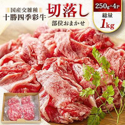 ふるさと納税 帯広市 十勝四季彩牛切落し(部位おまかせ)総量1kg(250g×4P)[国産交雑種]