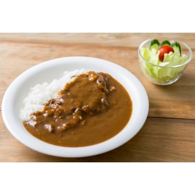 ふるさと納税 野々市市 チャンピオンカレー　レトルトカレー中辛8個入り｜y-sf｜02