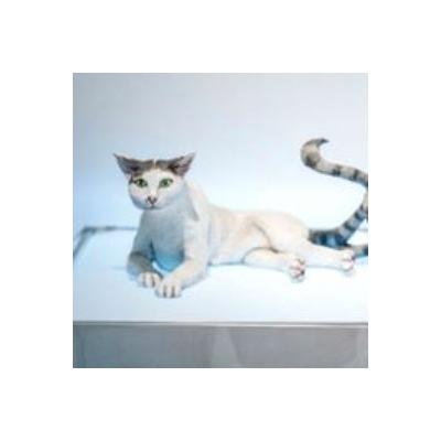 ふるさと納税 土庄町 [小豆島]妖怪美術館+小野川直樹美術館 入館チケット