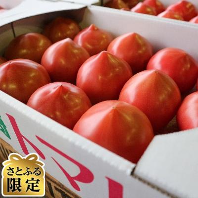 ふるさと納税 龍ケ崎市 [さとふる限定]茨城県銘柄産地指定「龍ケ崎トマト」(約4kg・18玉〜20玉)