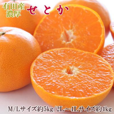 ふるさと納税 由良町 一度は食べていただきたい「有田産のせとか」約4kg〜5kg(サイズおまかせ)[由良町]