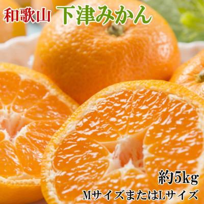 ふるさと納税 由良町 【産直】和歌山下津みかん約5kg(MサイズまたはLサイズのいずれかをお届け・秀品)(由良町) | 