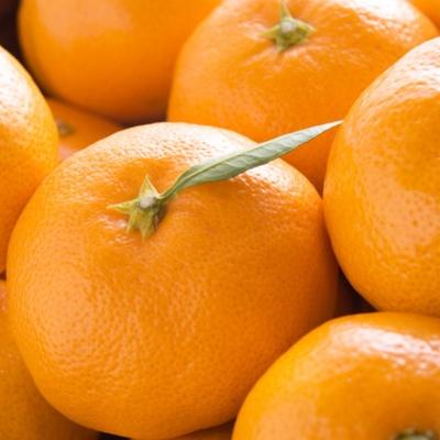 ふるさと納税 由良町 【産直】和歌山下津みかん約5kg(MサイズまたはLサイズのいずれかをお届け・秀品)(由良町) |  | 01