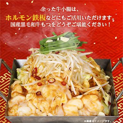 ふるさと納税 大野城市 【大反響!】【1000g】博多本場もつ鍋 ふるさと納税 大野城市 【大反響!】【1000g】博多本場もつ鍋
