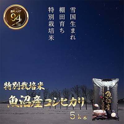 ふるさと納税 小千谷市 魚沼産コシヒカリ・棚田米・精米5k