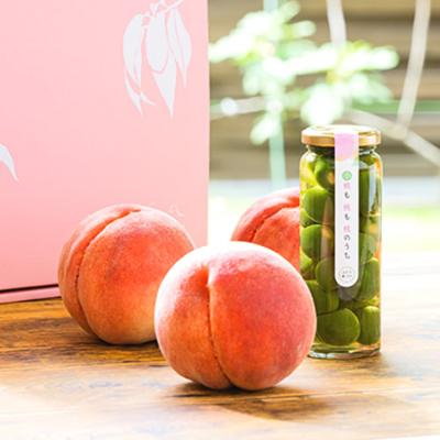 楽天1位 山梨県 ふるさと納税 桃を堪能 旬の完熟桃と若桃のピクルスセット 開店祝い Www Aproniaperu Com