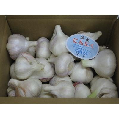 ふるさと納税 土庄町 [小豆島]島の生にんにく(新物)