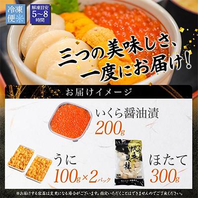 ふるさと納税 弟子屈町 ウニ & いくら醤油漬け & ホタテ 海鮮丼 3種 北海道 弟子屈 3585 |  | 03