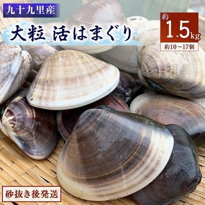 ふるさと納税 旭市 某TV番組で全国一位に!九十九里産 大粒活はまぐり 約1.5kg