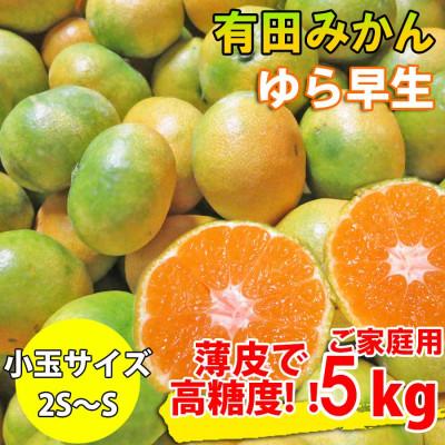 ふるさと納税 湯浅町 有田みかん 約5kg ご家庭用 和歌山 ゆら早生 極早生 (SS、Sサイズ)[湯浅町]
