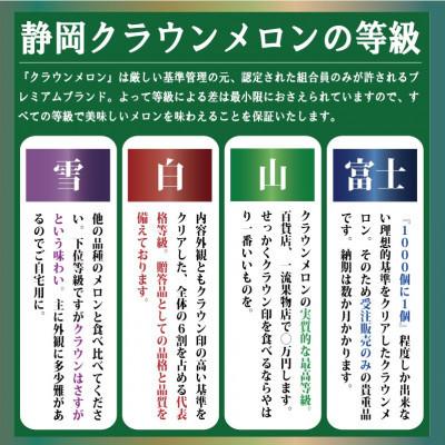 ふるさと納税 袋井市 【通年出荷】クラウンメロン特大玉『山等級』1玉入|y-sf|03