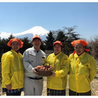 ふるさと納税 忍野村 富士山の恵”忍野のたまご”‐コクの赤玉‐30個入｜y-sf｜02