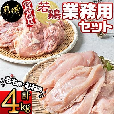 ふるさと納税 都城市 [業務用]宮崎県産若鶏セット(4kg)