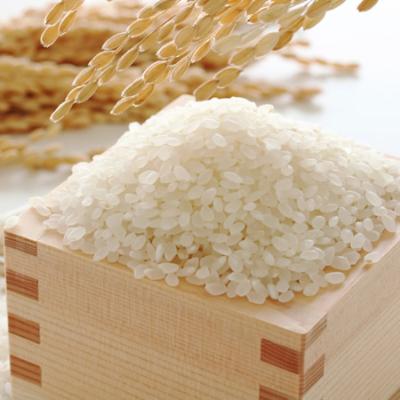 ふるさと納税 大牟田市 果物屋さんが選んだ米【夢つくし元気つくし】合計5kg(大牟田市)|y-sf|02