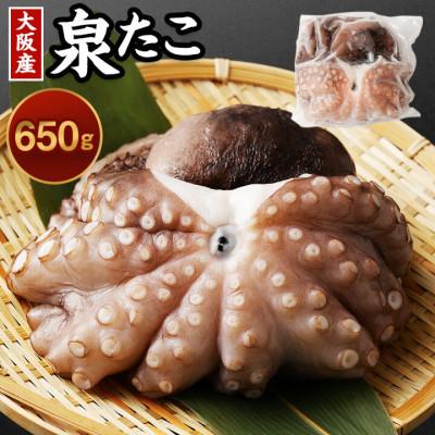 ふるさと納税 阪南市 先行受付[10月17日より順次発送]秋土用の辰「大阪産 泉タコ(生たこ) 650g」