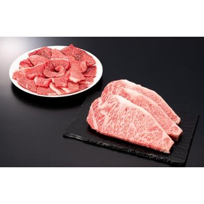ふるさと納税 新庄市 [産地直送 山形牛] 最高A5等級の頂 ステーキ・焼肉セット 1.2kg