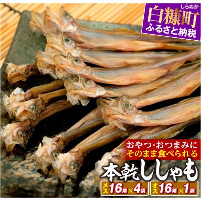 値引きする 白糠町 ふるさと納税 本乾ししゃも メス16尾 4袋 オス16尾 1袋 開店祝い Universalklinik Com