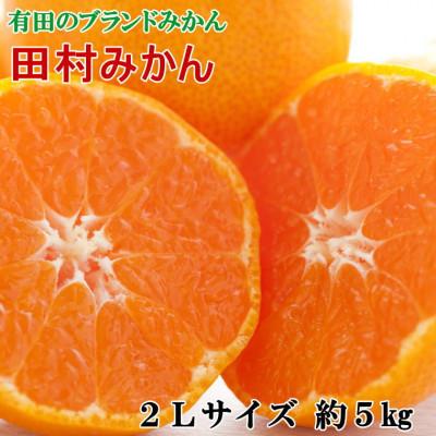 ふるさと納税 日高町 日高町[ブランドみかん]田村みかん約5kg(2Lサイズ・秀品)