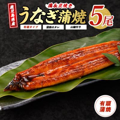 ふるさと納税 指宿市 鹿児島県産うなぎ蒲焼5尾(IB020-002)