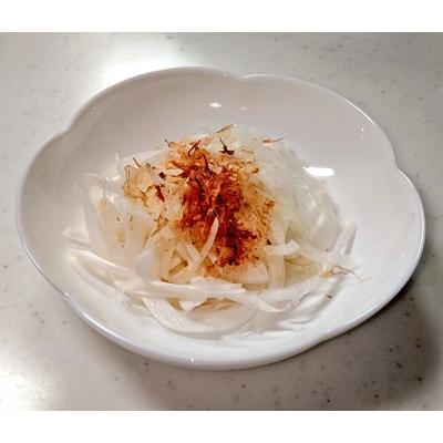 ふるさと納税 白子町 【先行受付】メディアでも話題!生でも美味しい白子町産新タマネギ10kg(大玉)の画像