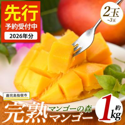 ふるさと納税 指宿市 [2026年 発送]しあわせ完熟マンゴー2〜3玉入り(022-1769)