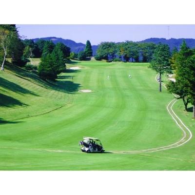 ふるさと納税 長瀞町 長瀞カントリークラブ　平日プレー券4名様