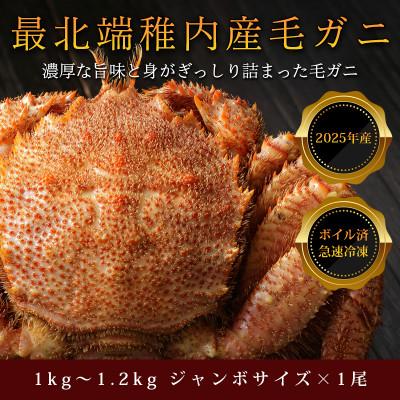 ふるさと納税 稚内市 [ボイル済み急速冷凍]身がパンパンに詰まった稚内産毛ガニ 1尾1kg〜1.2kgもあるジャンボサイズ