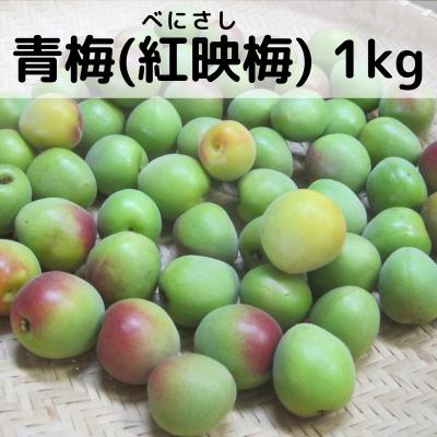 ふるさと納税 若狭町 6月中旬から順次発送 青梅(紅映梅) 1kg 2Lサイズ前後 秀と優の混合