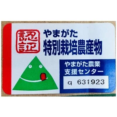 ふるさと納税 新庄市 【米検査員厳選】令和4年産 新庄市産つや姫 玄米1等 15kg|y-sf|02
