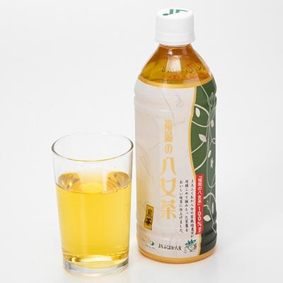 ふるさと納税 糸田町 八女茶 煎茶ペットボトル 500ml×24本(糸田町)