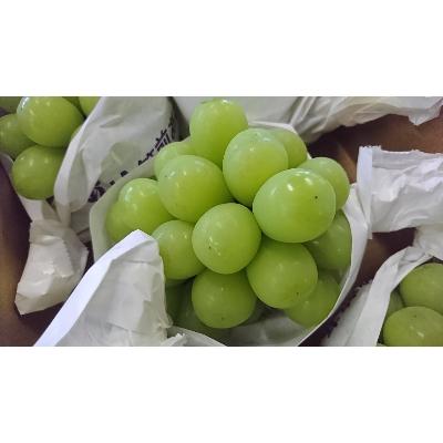 超人気 朝倉市 ふるさと納税 シャインマスカット 2kg 筑前あさくら農協 注目ブランド Www Mpdespachojuridico Com