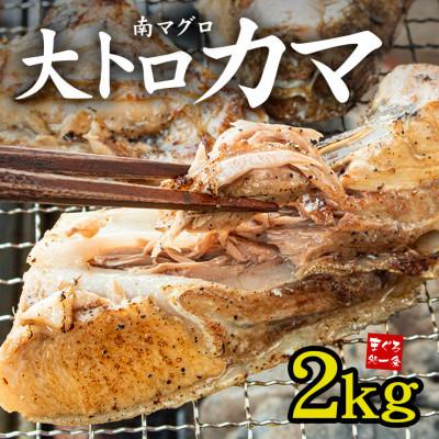 ふるさと納税 いわき市 南マグロ大トロカマ 約2kg したたるほどの脂のり!塩焼き・煮付け・BBQに 解凍レシピ付き