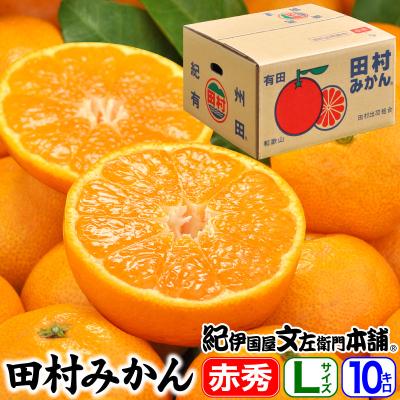 ふるさと納税 日高町 [日高町]田村みかん 特選ギフト品10kg[Lサイズ]赤秀/湯浅町田村地区産/産地直送
