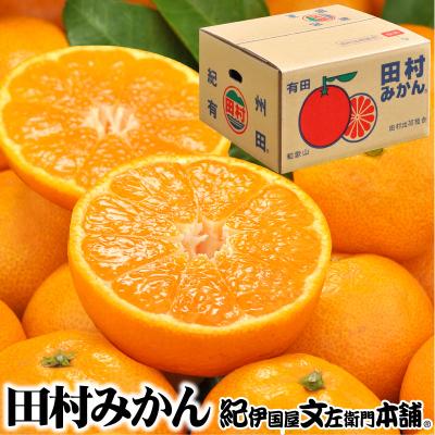 ふるさと納税 日高町 [日高町]田村みかん 秀品4kg[サイズおまかせ]湯浅町田村地区産/産地直送