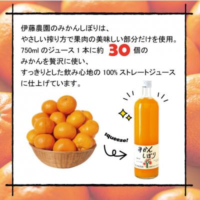 ふるさと納税 有田市 100%ピュアジュースみかんしぼり750ml×6本 : さと